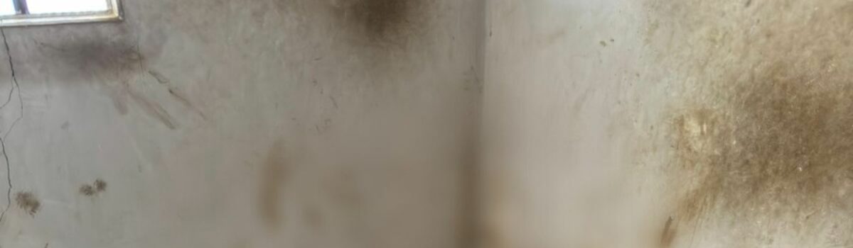 PCGO prende homem por abandonar irmão idoso, em estado de desnutrição e maus-tratos