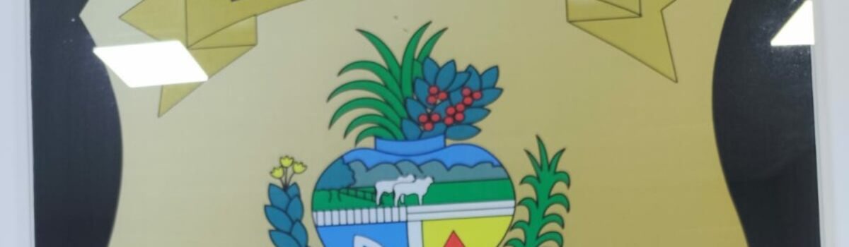 Mulher é presa após tentar aplicar golpe em empório de Aparecida de Goiânia