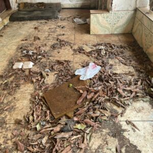 PCGO prende homem por maltratar cachorros e aves e resgata animais caquéticos e que estavam amarrados