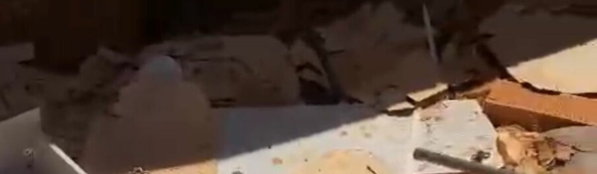 Mulher é presa em Goianápolis por maus-tratos animais; um cão estava morto e outro, sem comida