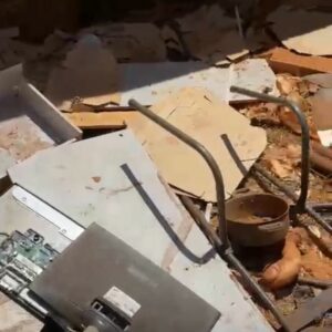 Mulher é presa em Goianápolis por maus-tratos animais; um cão estava morto e outro