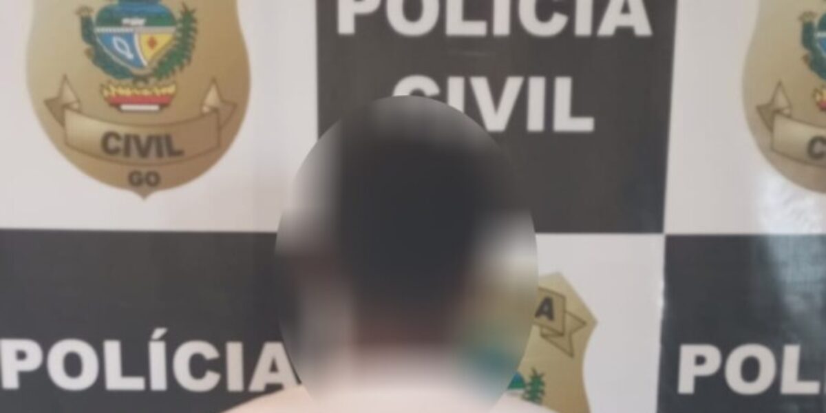 PC prende motorista por acidente que lesionou vítima, em Posse; autor fugiu sem prestar socorro