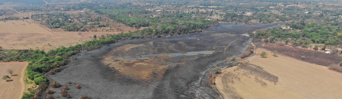 PCGO conclui investigação de incêndio criminoso no Parque Lagoa Vargem Bonita