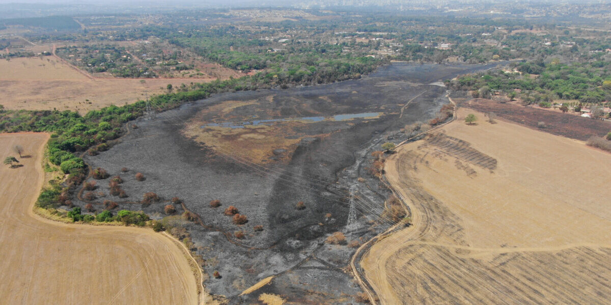 PCGO conclui investigação de incêndio criminoso no Parque Lagoa Vargem Bonita