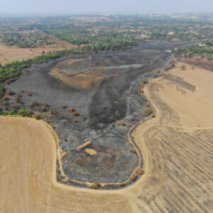 PCGO conclui investigação de incêndio criminoso no Parque das Laranjeiras