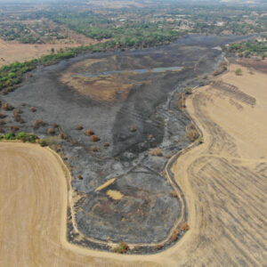 PCGO conclui investigação de incêndio criminoso no Parque das Laranjeiras