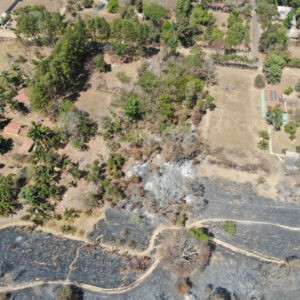 PCGO conclui investigação de incêndio criminoso no Parque das Laranjeiras