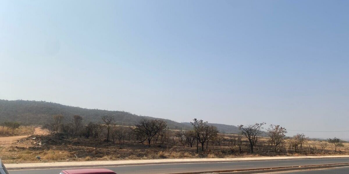 PCGO chega à autoria de incêndio que consumiu a Serra das Areias