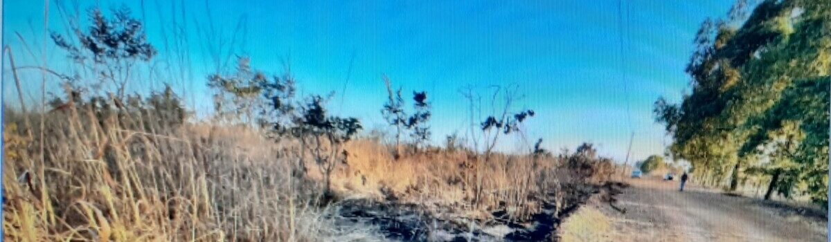 Polícia Civil apura autoria de adolescentes em crime de incêndio na zona rural de Anápolis