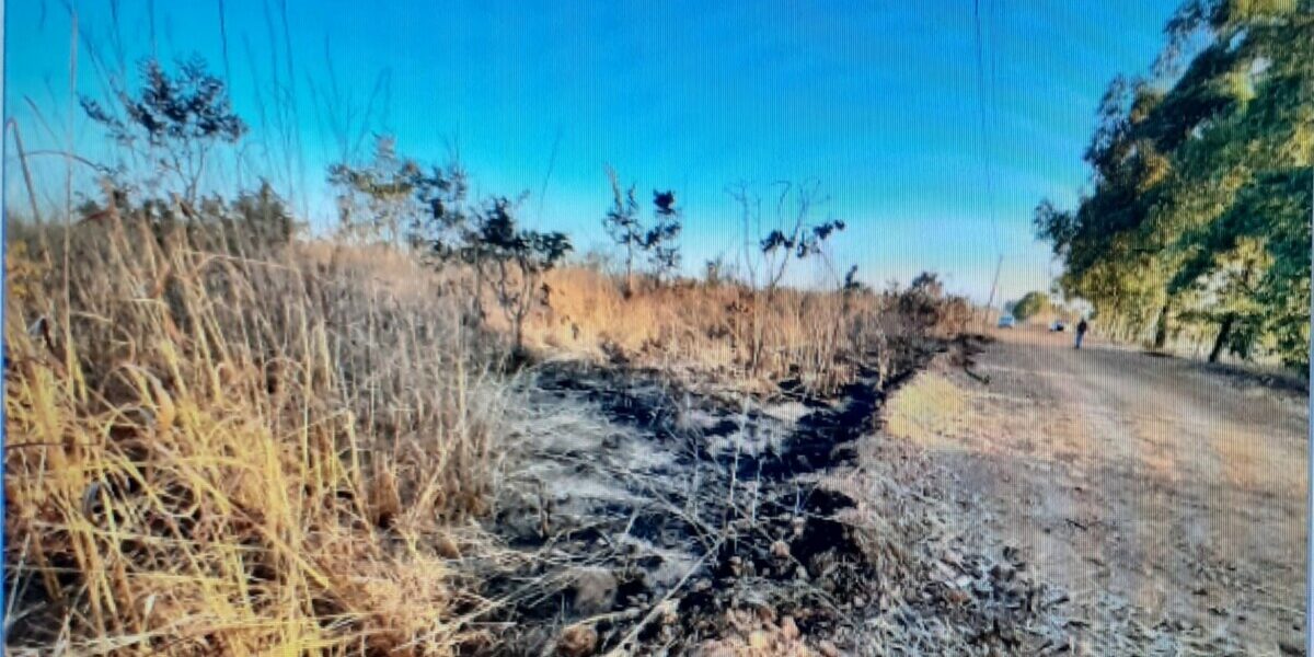 Polícia Civil apura autoria de adolescentes em crime de incêndio na zona rural de Anápolis