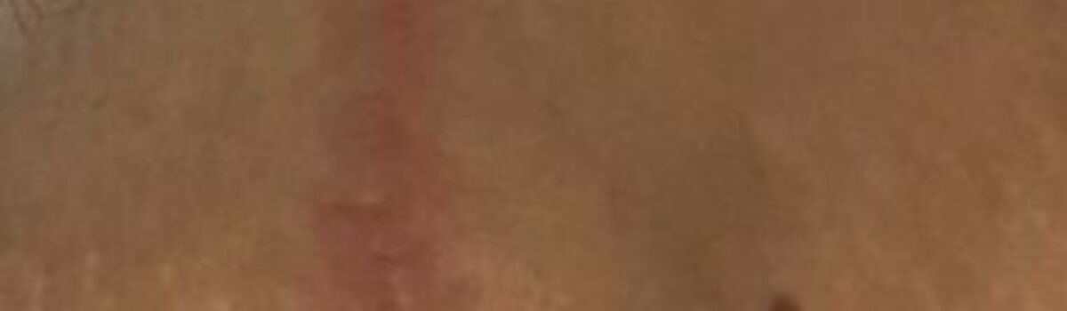 Homem é preso por lesão corporal e tentativa de estupro contra ex-companheira