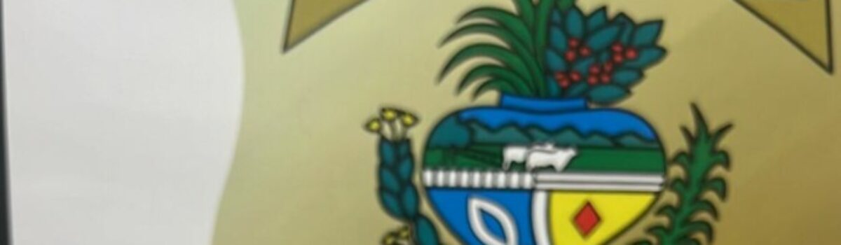 Polícia Civil prende investigado por estuprar e engravidar a enteada de 13 anos, em Anápolis