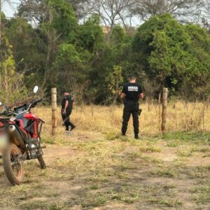 Operação Proditio: PCGO cumpre quatro mandados de busca e apreensão em desfavor de investigados por furto de semoventes