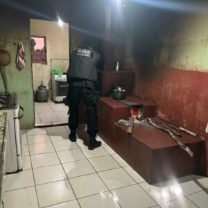 Operação Proditio: PCGO cumpre quatro mandados de busca e apreensão em desfavor de investigados por furto de semoventes
