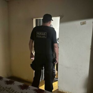 Operação Proditio: PCGO cumpre quatro mandados de busca e apreensão em desfavor de investigados por furto de semoventes