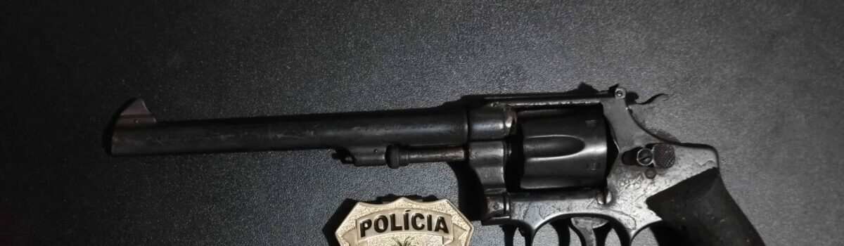 PCGO prende homem por por ilegal de arma de fogo em São Luís de Montes Belos