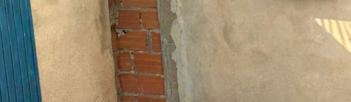 Autor de maus-tratos a cães Beagle é preso em Inhumas