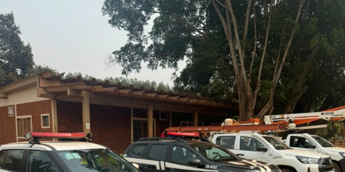 Operação integrada prende suspeito por furto de energia elétrica em fazenda de Bom Jesus de Goiás