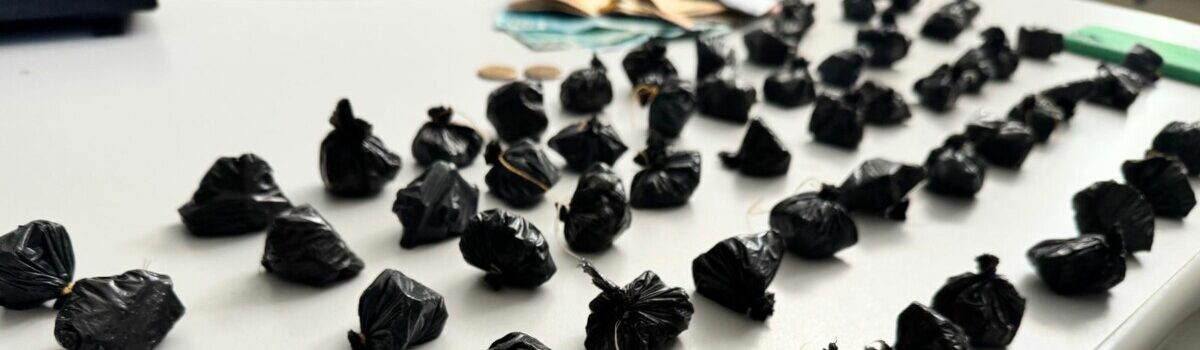 PCGO apreende mais de R$ 120 mil em drogas que seriam comercializadas em Porangatu