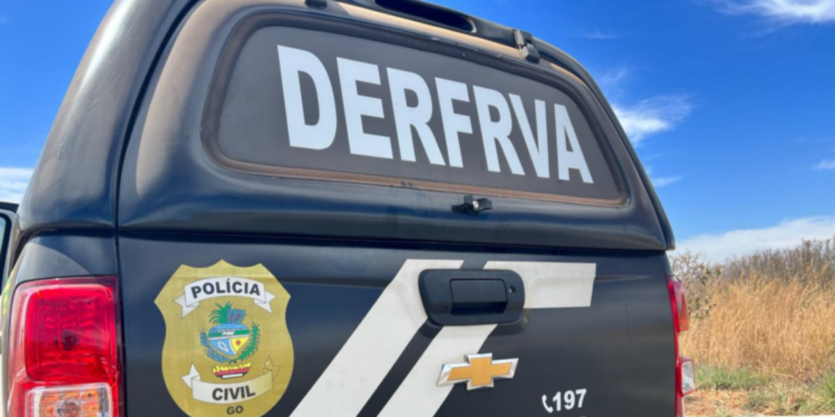 PCGO prende homem que roubou carro em Goiânia