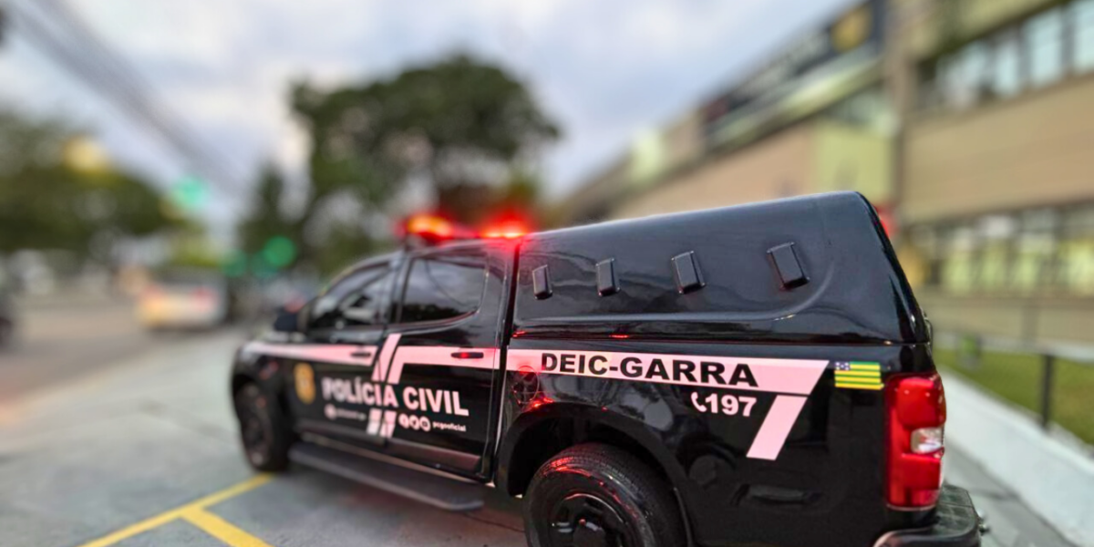 PCGO prende em Goiás suspeito de roubo ocorrido em Santa Catarina