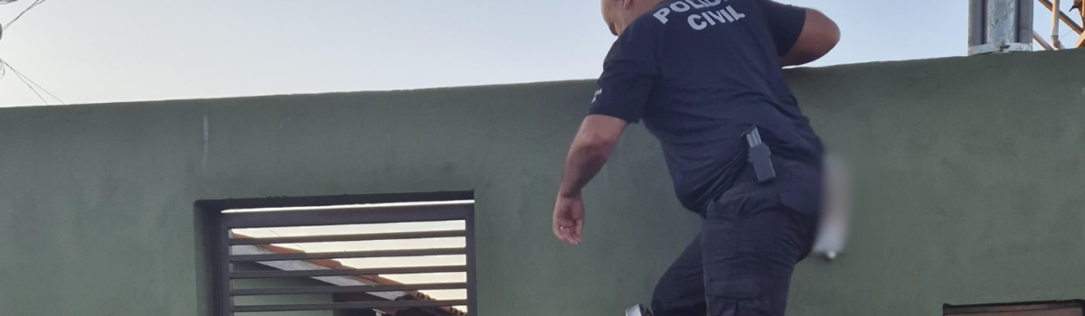 Operação Lobo Mau: PCGO prende 2 pessoas em flagrante por armazenamento e produção de conteúdo de abuso sexual infantil
