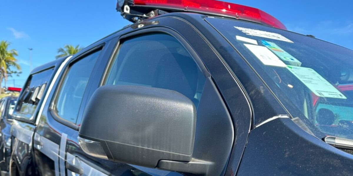 Polícia Civil prende em flagrante inquilino que matou dono de imóvel, em Trindade