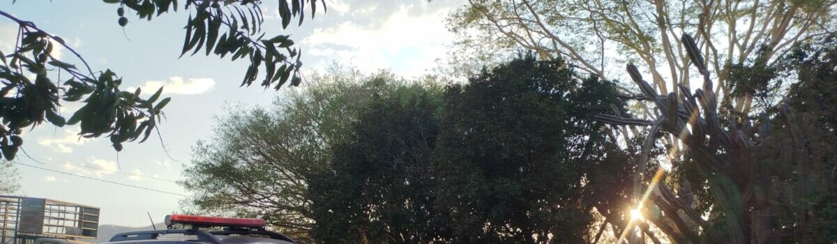 PCGO prende em flagrante dupla por receptação de carga de milho que havia sido desviada