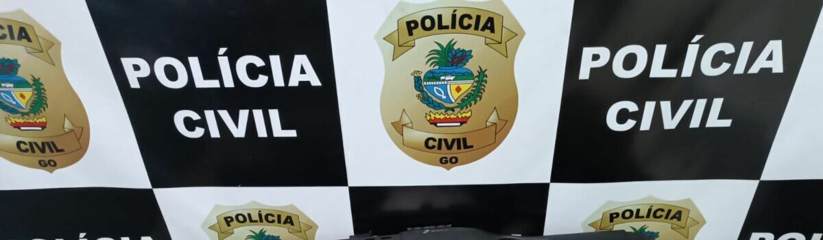 PCGO cumpre buscas e apreende armas de fogo com agressor, em Jataí