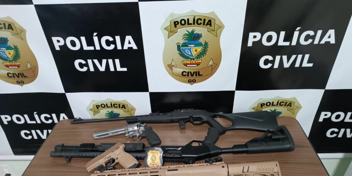 PCGO cumpre buscas e apreende armas de fogo com agressor, em Jataí