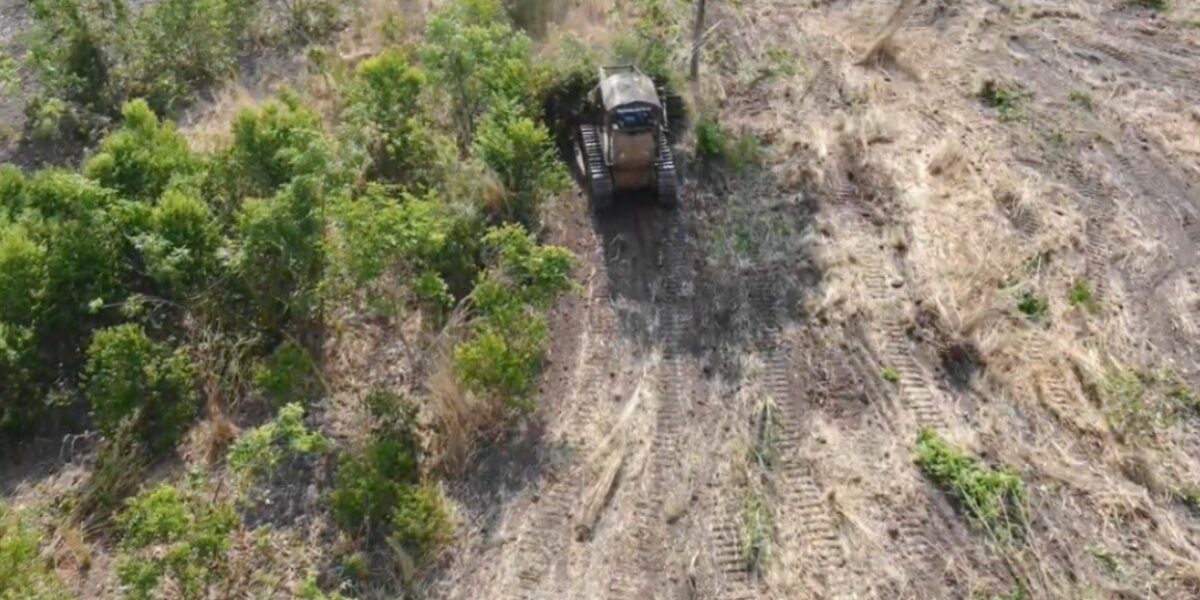 Operação Grito do Rio: Dema apura danos ambientais na bacia do Araguaia