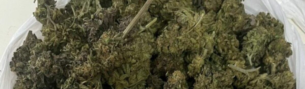 Polícia Civil prende em flagrante advogado por armazenar “supermaconha” para venda em escaninho de prédio