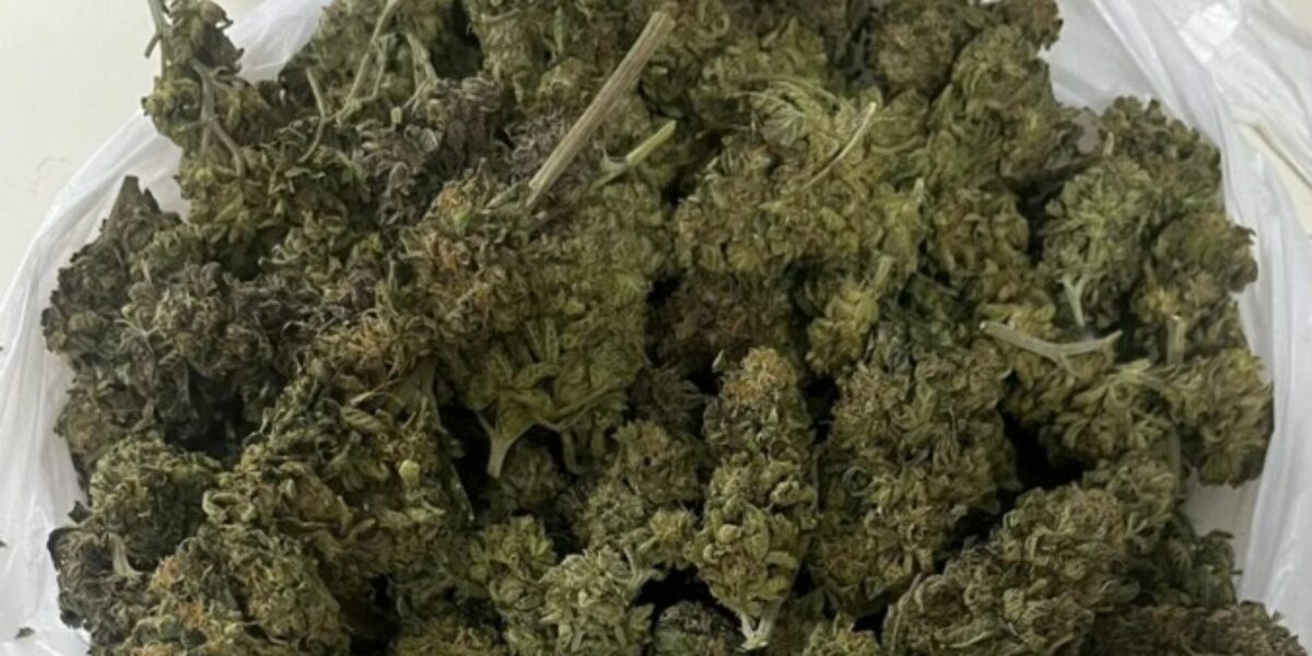 Polícia Civil prende em flagrante advogado por armazenar “supermaconha” para venda em escaninho de prédio