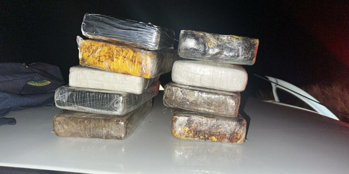 PC prende em flagrante suspeitos transportando drogas na BR 070, em Cocalzinho