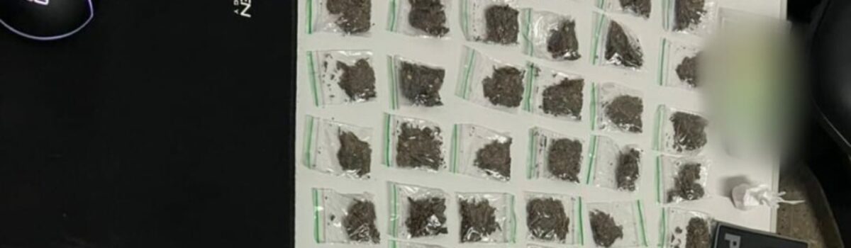 Operação prende duas pessoas em flagrante por tráfico de drogas em Senador Canedo