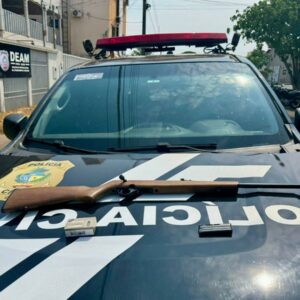 PCGO apreende arma de fogo usadas em crimes contra a mulher e indicia dois suspeitos, em Iporá