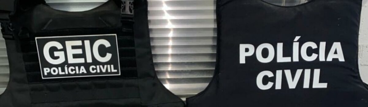 PCGO prende em flagrante investigado por posse de arma e munições, em Goianésia