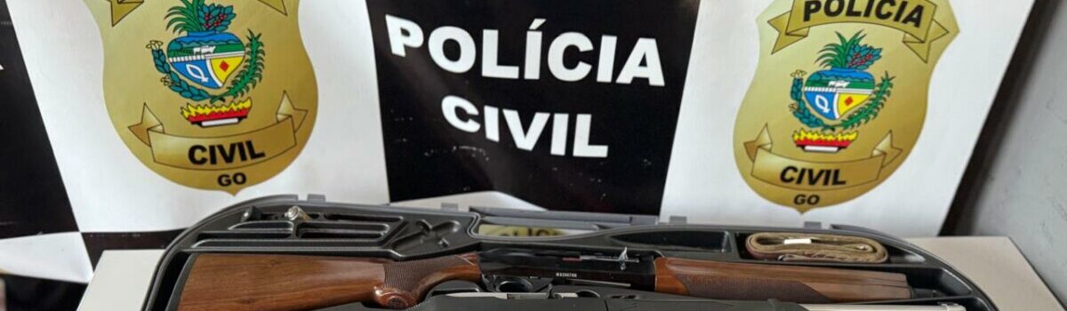 Operação conjunta entre Polícia Civil e Militar apreende armas e mais de mil munições em Rubiataba