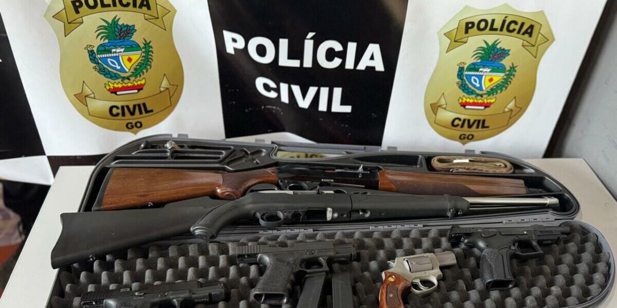 Operação conjunta entre Polícia Civil e Militar apreende armas e mais de mil munições em Rubiataba