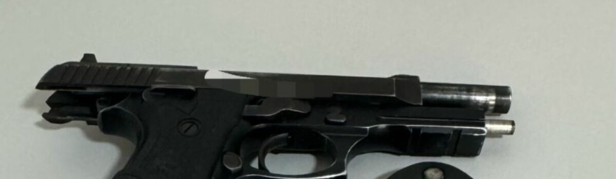 PC cumpre mandados de busca contra violência doméstica e apreende armas de fogo, em Planaltina