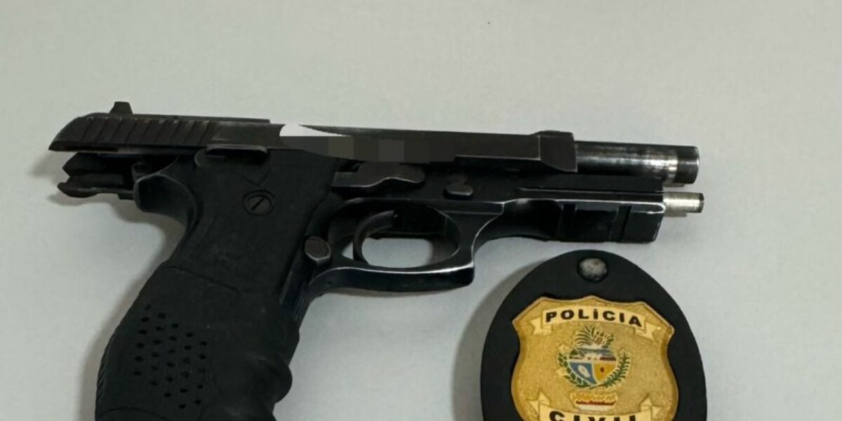 PC cumpre mandados de busca contra violência doméstica e apreende armas de fogo, em Planaltina