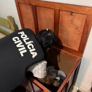 Operação integrada leva à prisão suspeito de vários furtos praticados em Minaçu