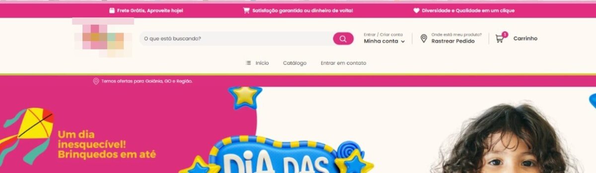 Operação da Polícia Civil prende mentor de esquema por fraudar site de vendas de brinquedos e praticar golpes contra vítimas de todo país