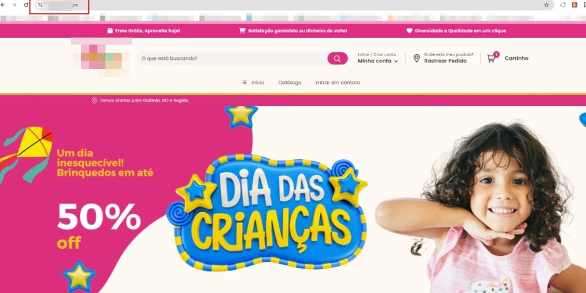 Operação da Polícia Civil prende mentor de esquema por fraudar site de vendas de brinquedos e praticar golpes contra vítimas de todo país