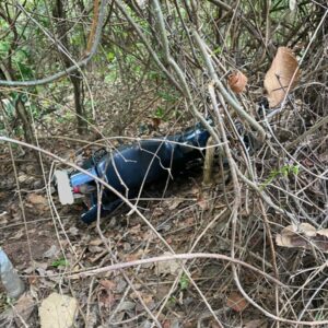 PCGO recupera motocicleta em menos de 24h após o fruto, em Paraúna