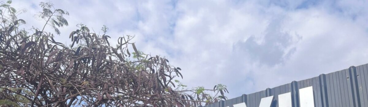 PC cumpre preventiva, no DF, de investigado que matou vítima por conta de dívida de drogas de R$ 10