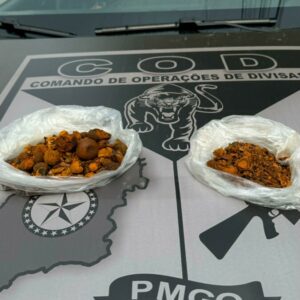 Operação integrada apreende “pedral fel”, em Aragarças, avaliada em R$ 1 milhão