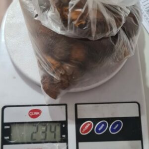 Operação integrada apreende “pedral fel”, em Aragarças, avaliada em R$ 1 milhão