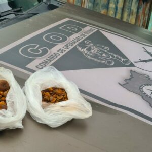 Operação integrada apreende “pedral fel”, em Aragarças, avaliada em R$ 1 milhão