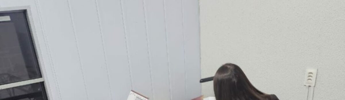 Operação Fake Vision, fase 3, desarticula grupo criminoso que atuava na transferência fraudulenta de veículos